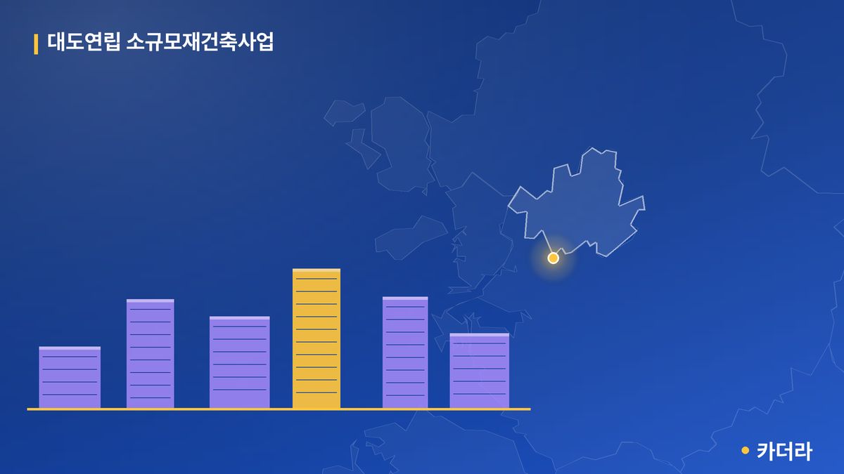 대도연립 소규모재건축사업 단지 정보 — 금천구 아파트 분양
