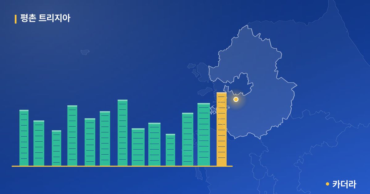 평촌 트리지아 단지 정보 카드