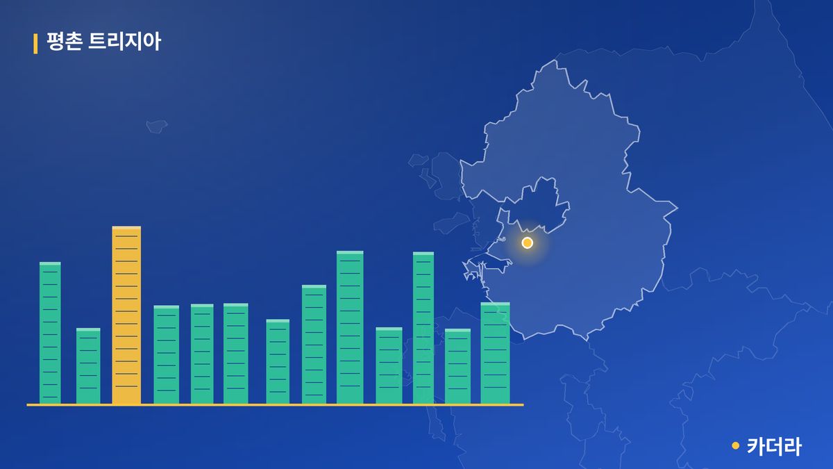 평촌 트리지아 단지 정보 카드