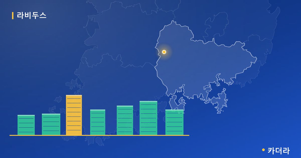 라비두스 단지 정보 카드