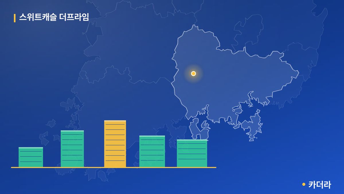 스위트캐슬 더프라임 단지 정보 카드