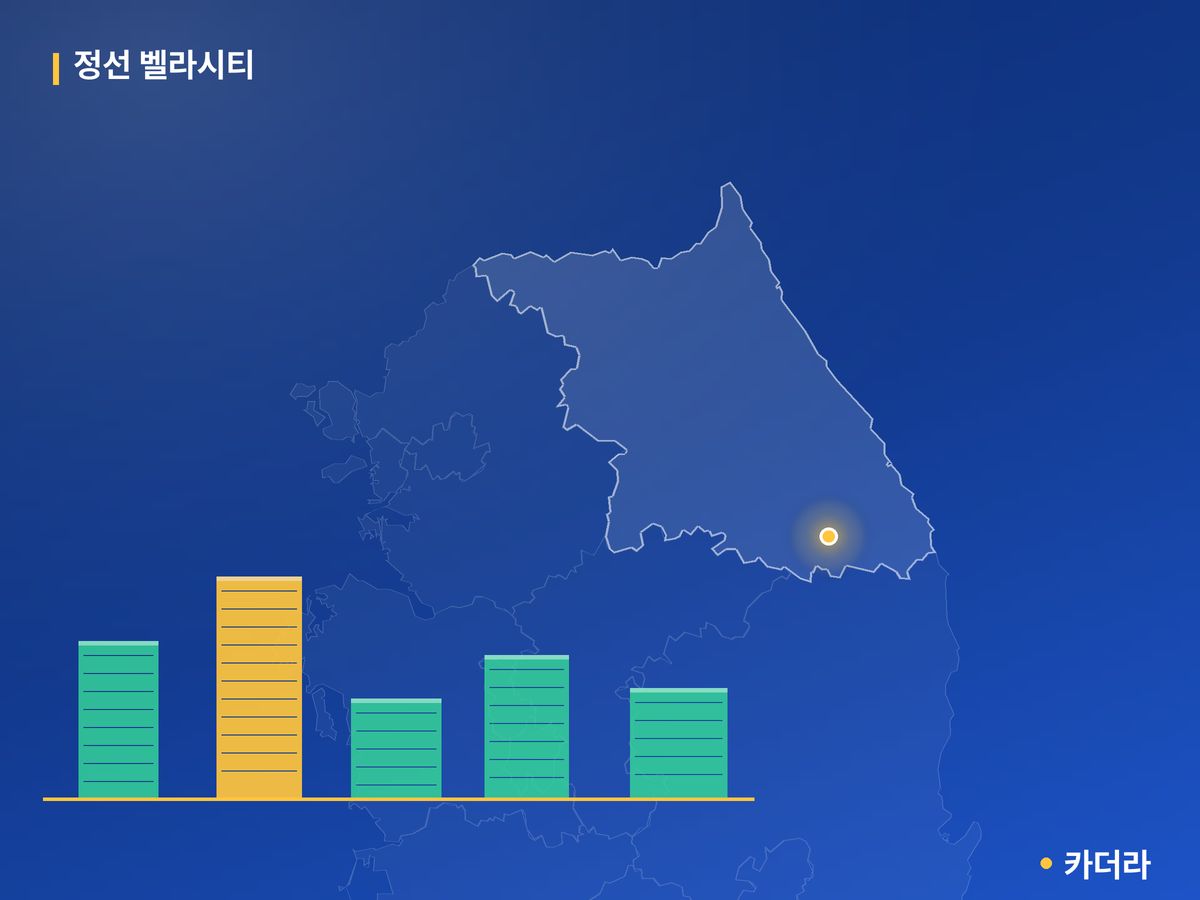 정선 벨라시티 단지 정보 카드