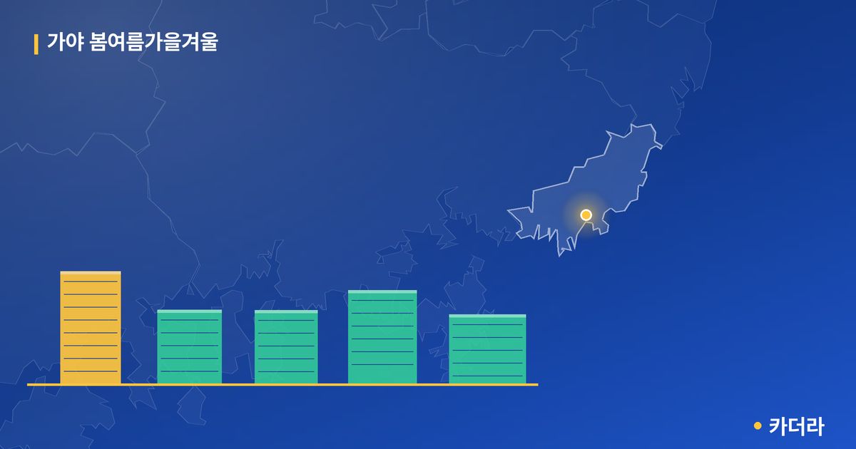가야 봄여름가을겨울 단지 정보 카드