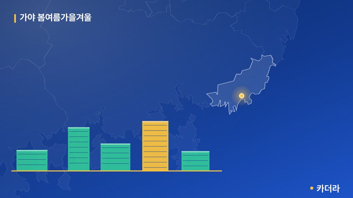 가야 봄여름가을겨울 단지 정보 카드