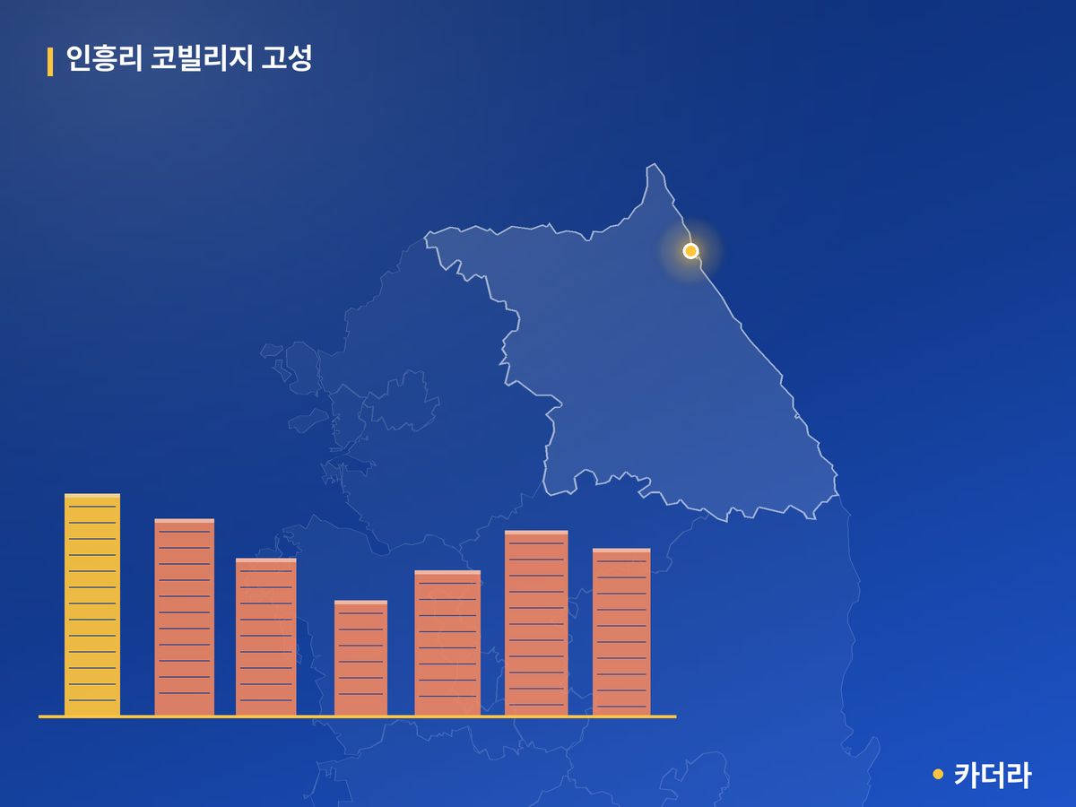 인흥리 코빌리지 고성 단지 정보 — 고성군 아파트 분양