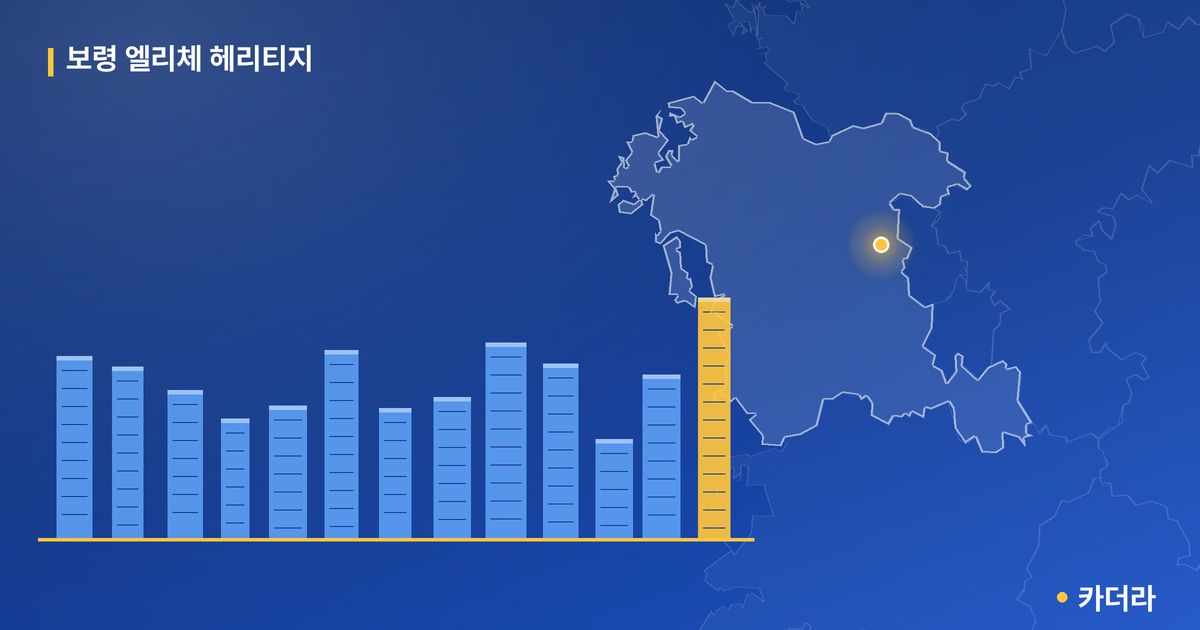 보령 엘리체 헤리티지 단지 정보 카드