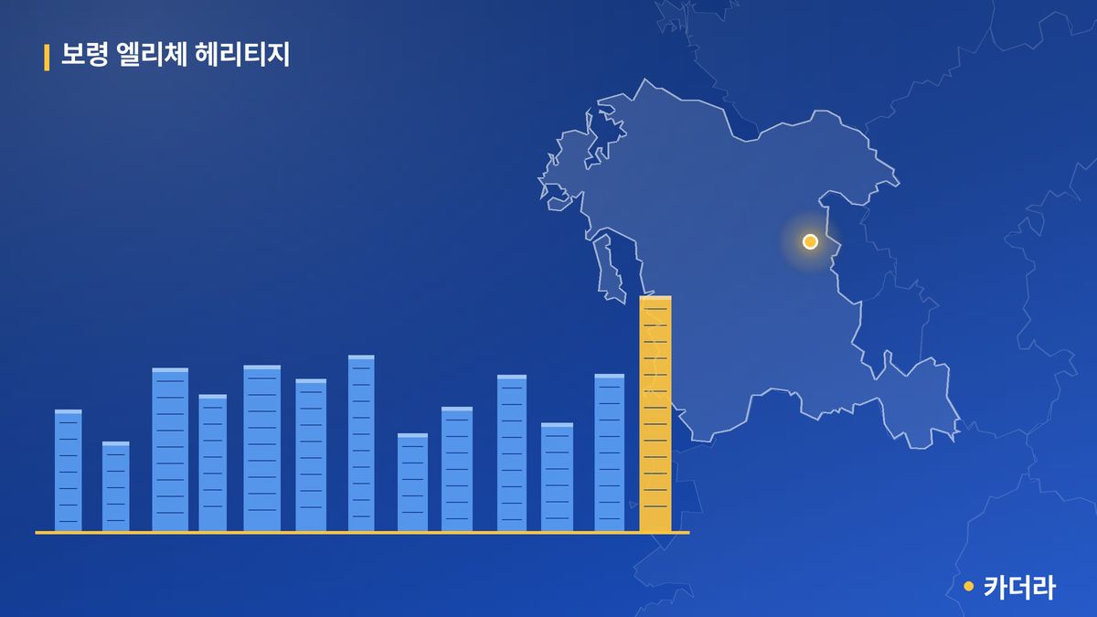 보령 엘리체 헤리티지 단지 정보 카드