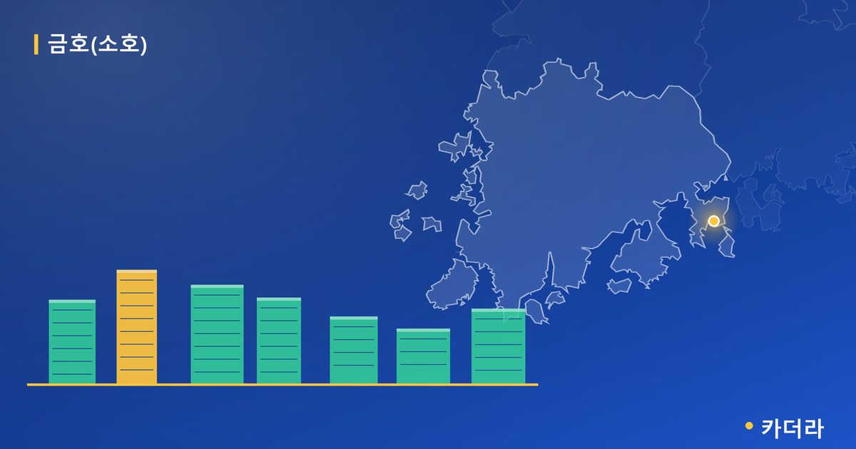 금호(소호) 단지 정보 카드
