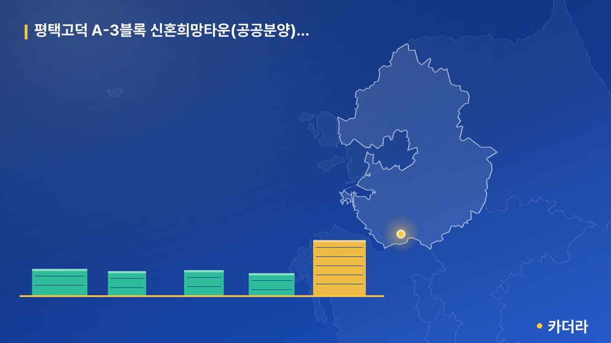 평택고덕 A-3블록 신혼희망타운(공공분양) 추가 단지 정보 카드