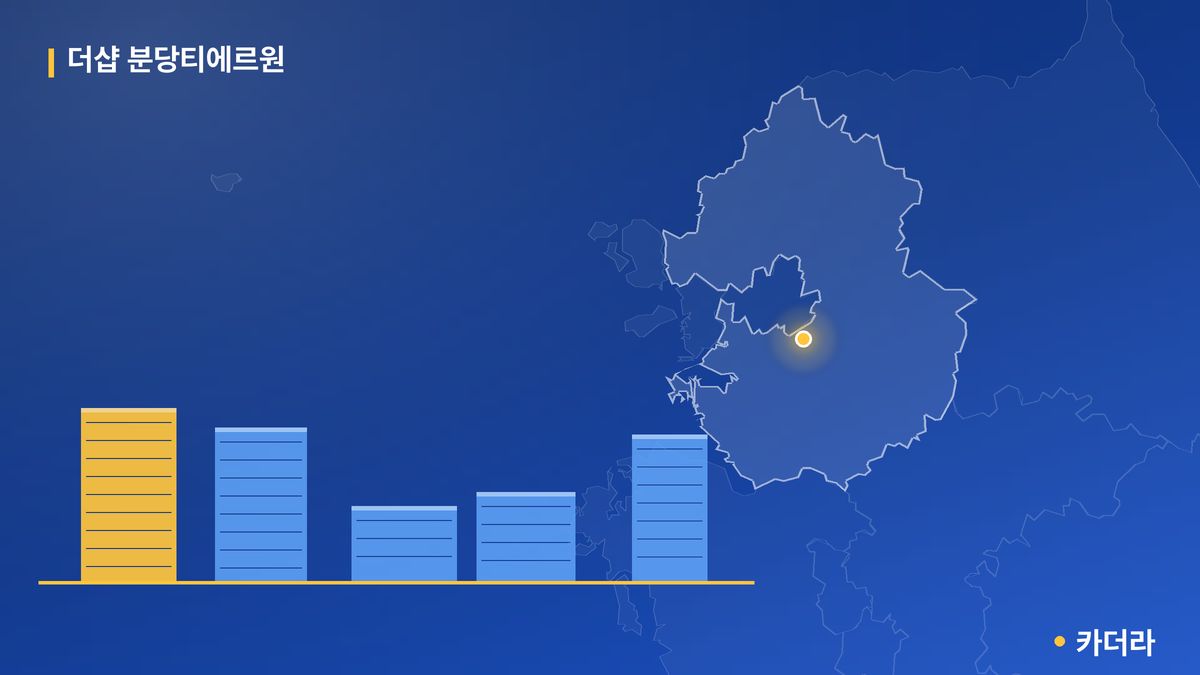 더샵 분당티에르원 단지 정보 카드