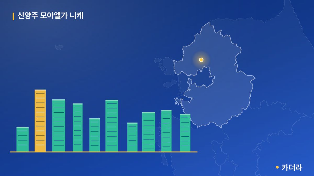 신양주 모아엘가 니케 단지 정보 카드
