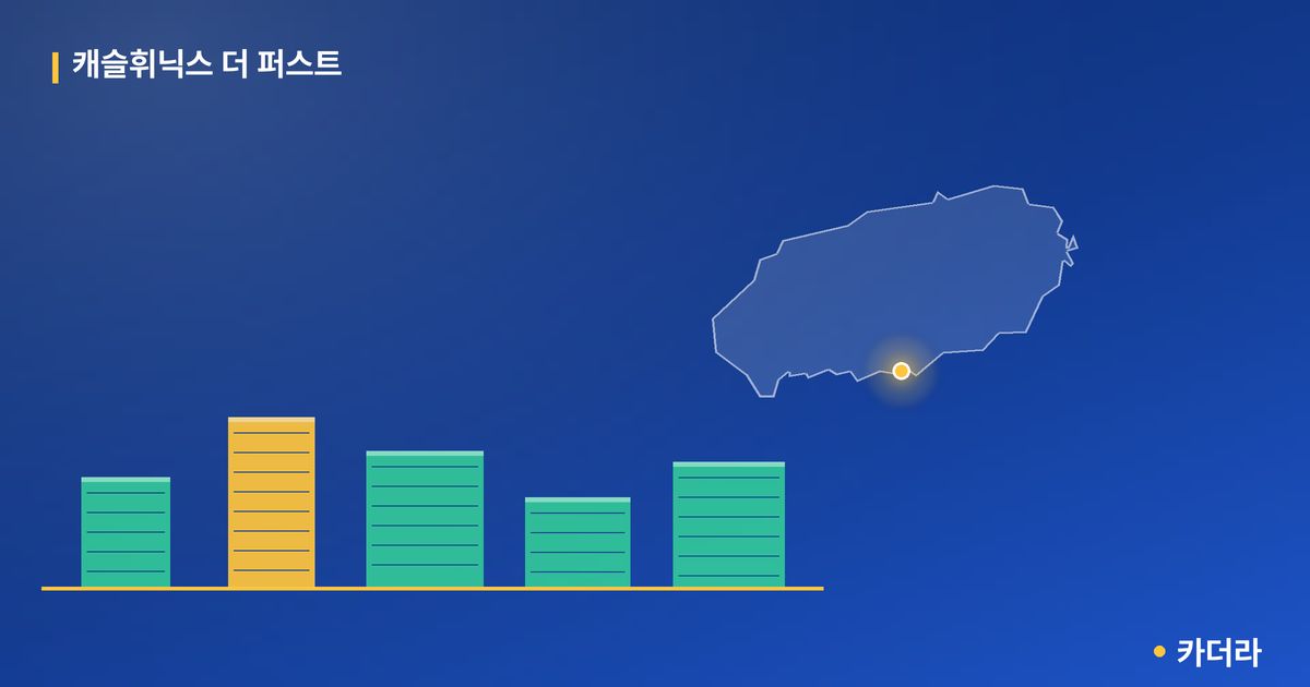 캐슬휘닉스 더 퍼스트 단지 정보 카드