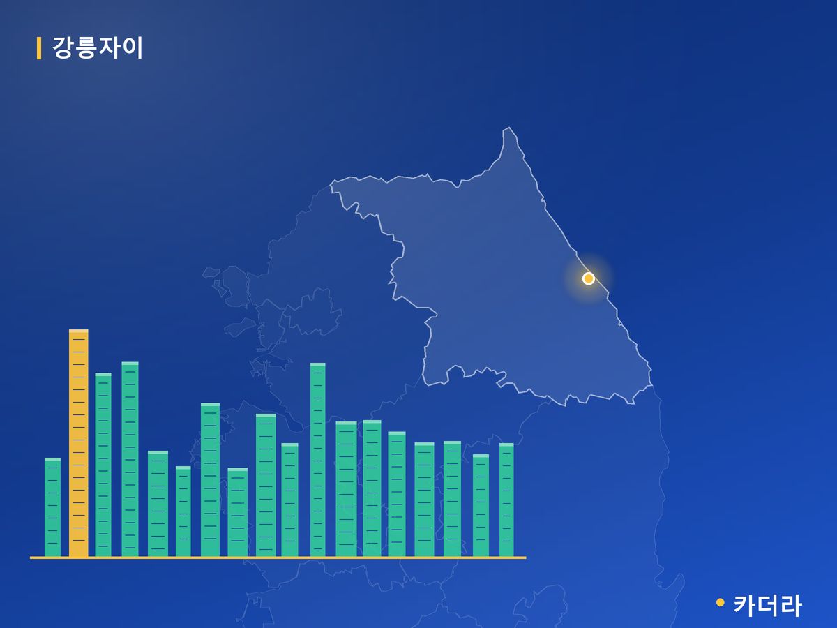 강릉자이 파인베뉴 강원 분양 정보 카드