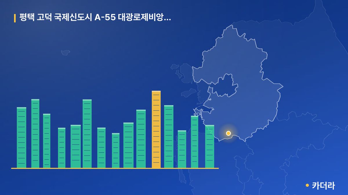 평택 고덕 국제신도시 A-55 대광로제비앙 모아엘가 단지 정보 카드