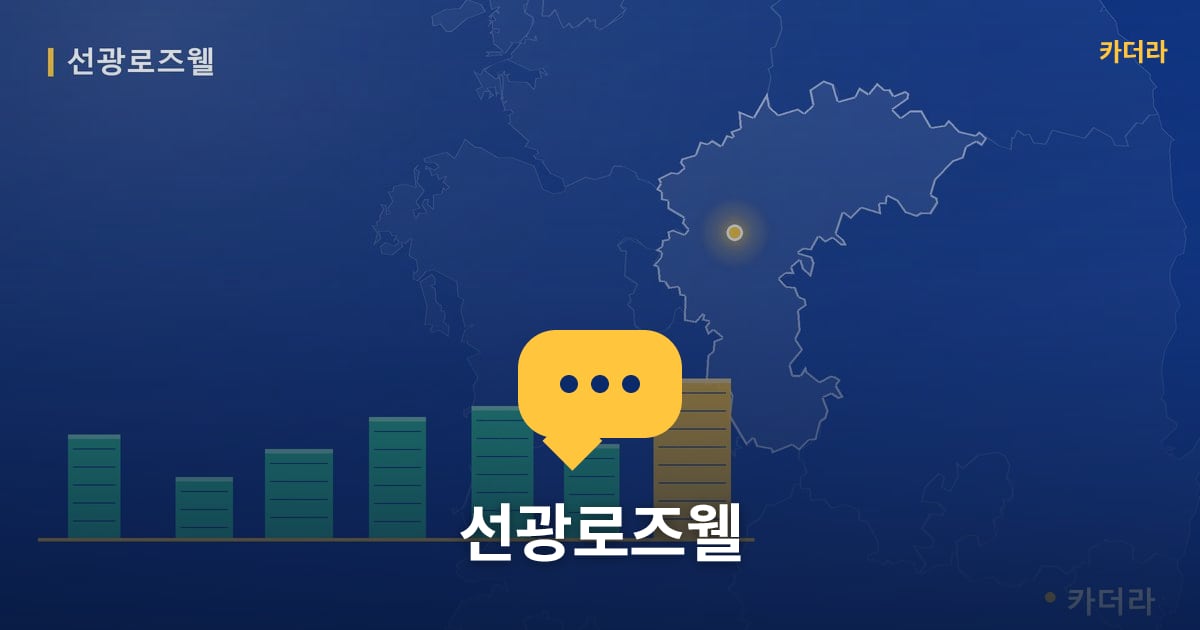 선광로즈웰 — 위치·규모·단계 한눈에