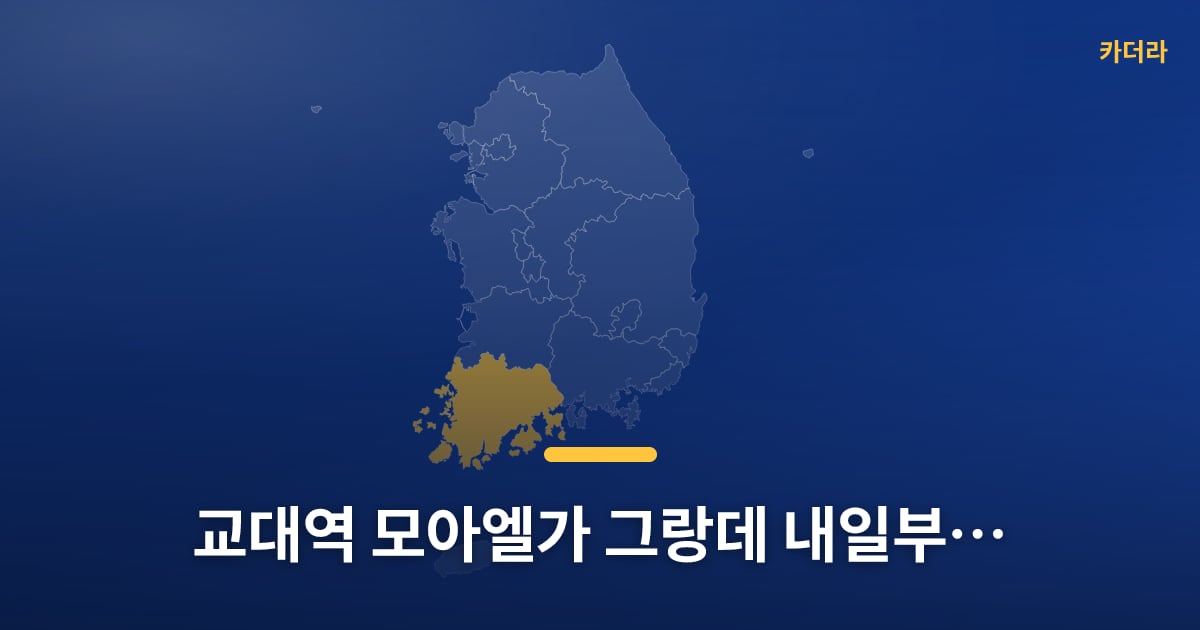 교대역 모아엘가 그랑데 내일부터 청약 접수, 다들 준비되셨어요? — 위치·규모·단계 한눈에